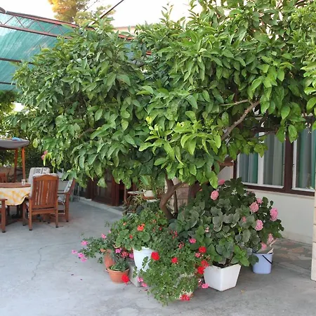 Apartament Modern In With Jacuzzi